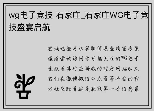 wg电子竞技 石家庄_石家庄WG电子竞技盛宴启航